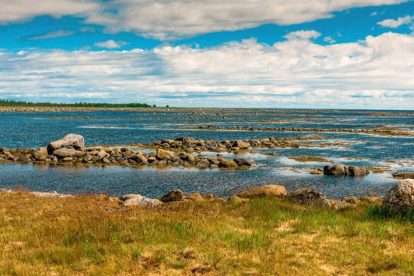 Белое море Соловецкие острова