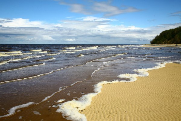Архангельск берег белого моря