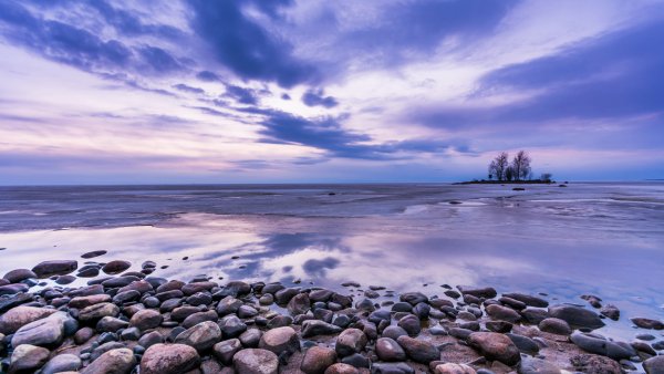 Природа белого моря море