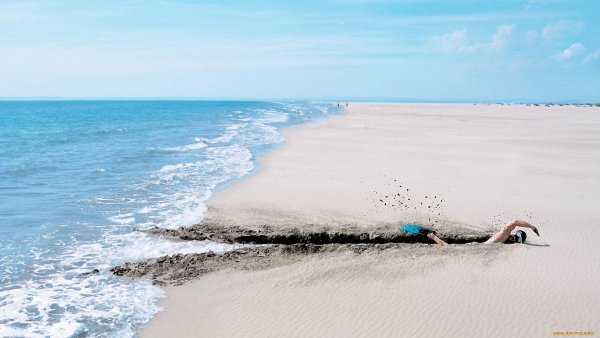 Смешные картинки про море