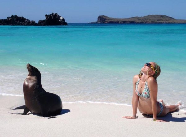 Смешные люди на пляже