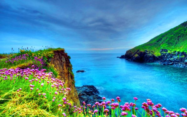 Море скалы цветы