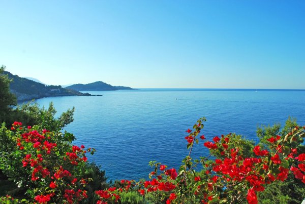 Болгария сарматское море пейзаж