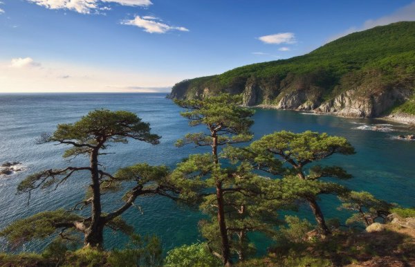 Дальневосточный морской заповедник Приморский край