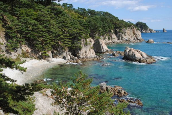 Дальневосточный морской заповедник Приморский край Хасанский район