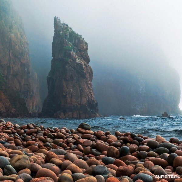 Остров Шкота Приморский край