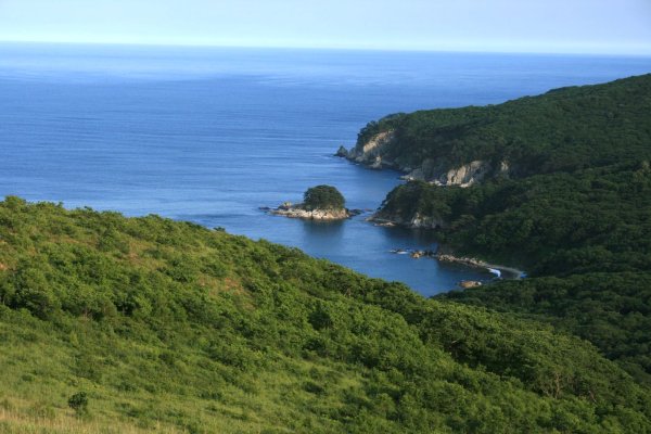 Сихотэ-Алинский заповедник тропа
