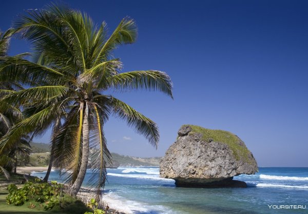 Остров сент-Люсия Карибы