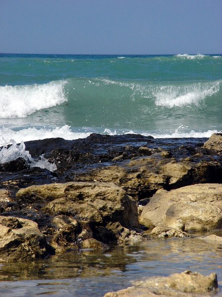 Северный берег Каспийского моря