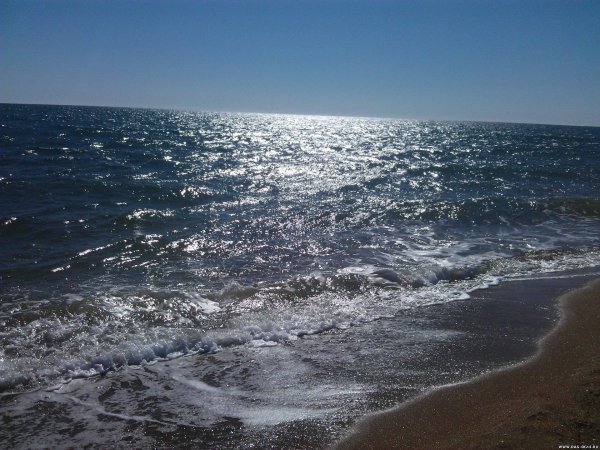 Каспийское море Дагестан