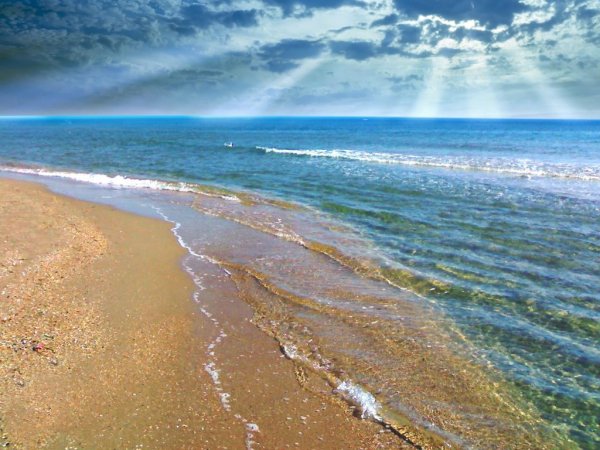 Черное море Витязево