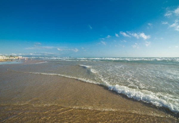 Пляж белый лебедь в Анапе