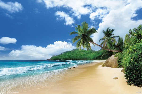 Сейшельские острова