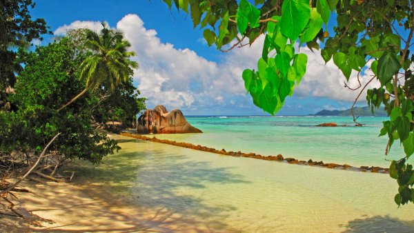 Сейшельские острова море