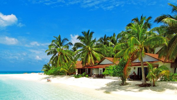 Острова с пальмами и белым песком