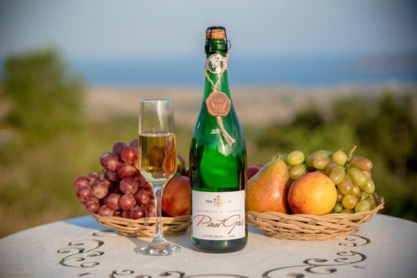 Новый свет игристое Пино гри