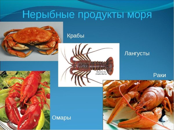 Нерыбные продукты моря