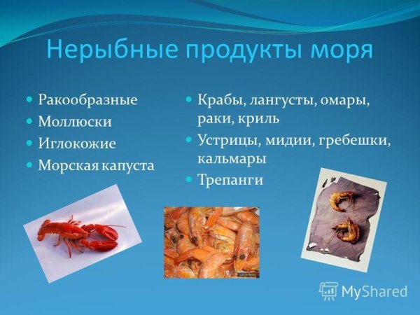 Устрицы, лангусты, омары