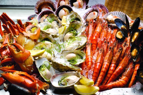 Морепродукты на белом фоне