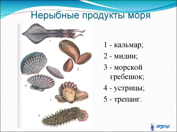 Устрицы, раки, Крабы, морепродукты