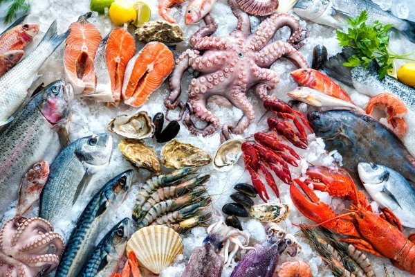 Классификация нерыбных продуктов