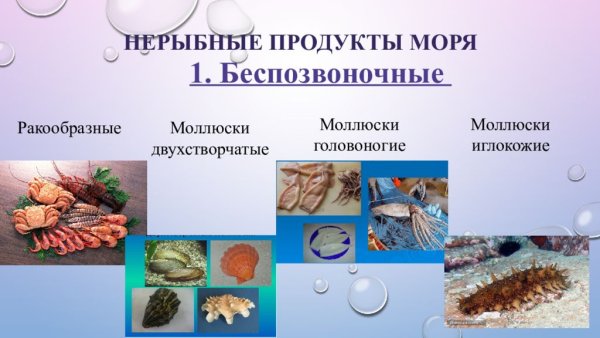 Японская кухня морепродукты