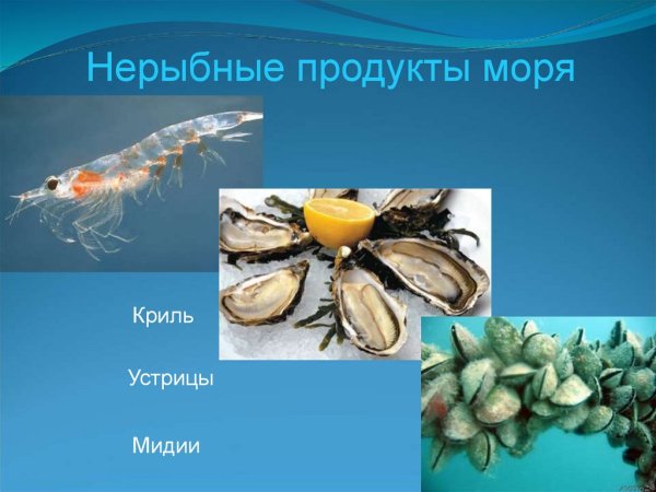 Нерыбных продуктов моря