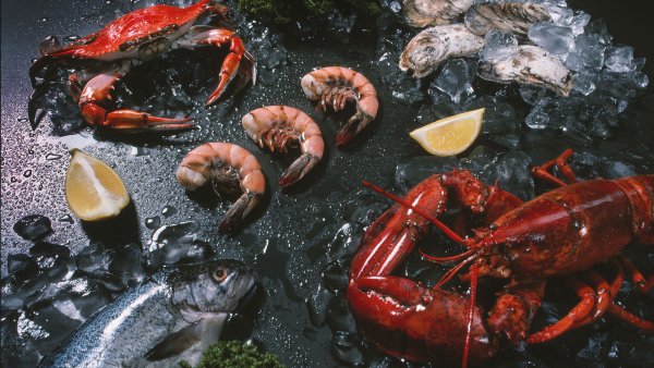 Морепродукты мидии устрицы