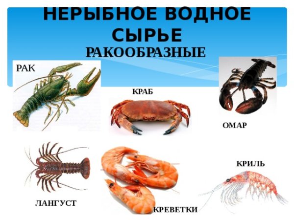Рыбная продукция морепродукты