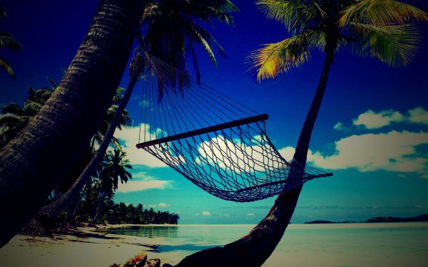 Гамак на Пальме