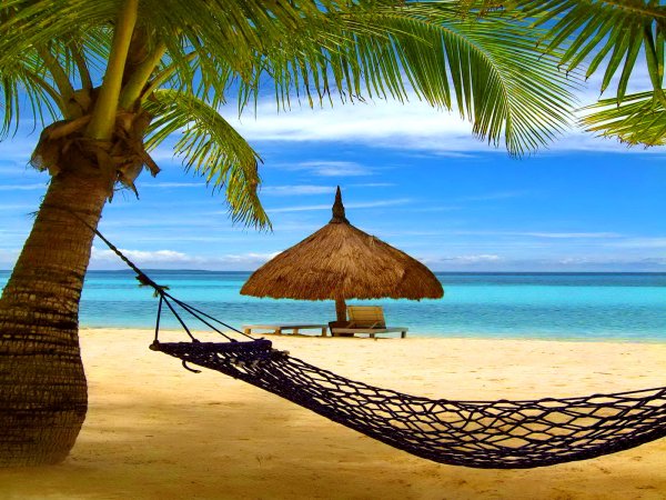 Гамак на пляже с пальмами