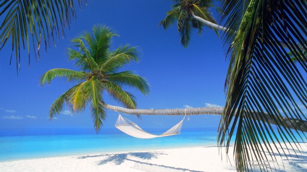 Гамак на пляже