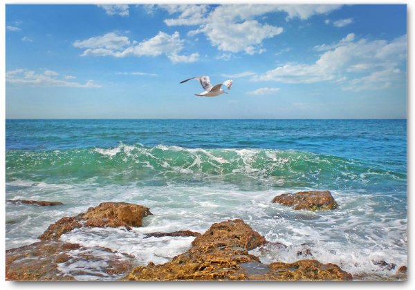 Морской Прибой Евпатория