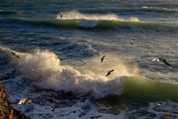 Морской Прибой Крис Крым