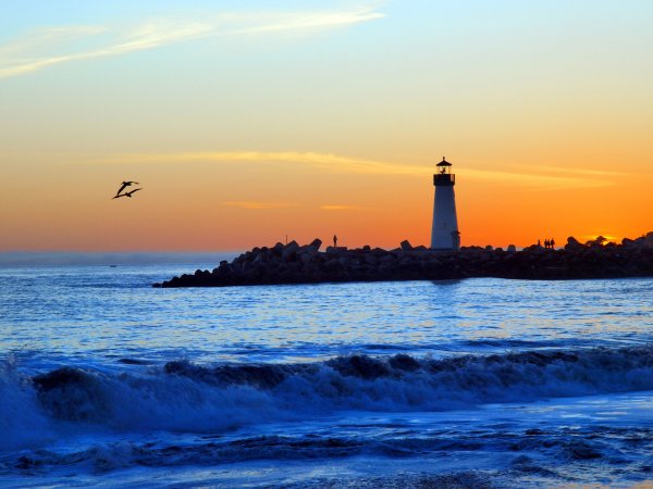 Море Аргентины Маяк Чайка