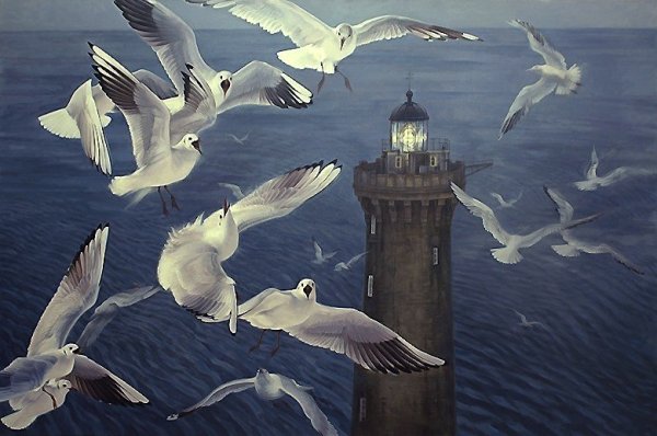 Иллюстрации к Чайке