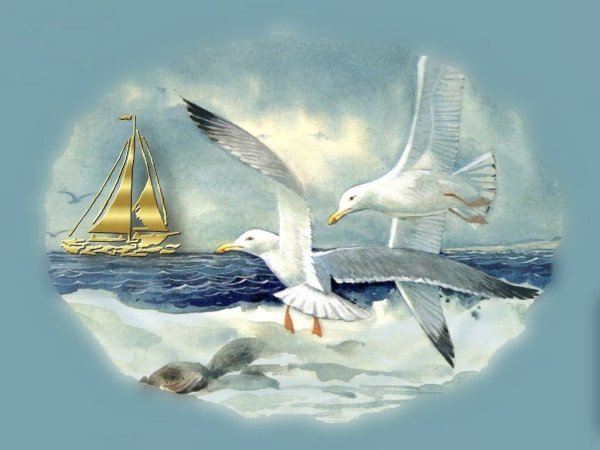 Парусник и Чайки картина