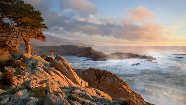 Пойнт Лобос Калифорния