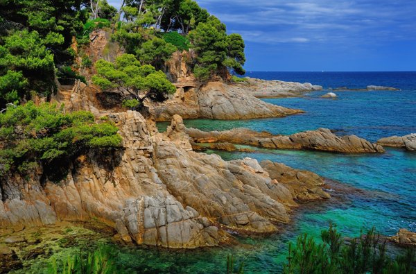 Море скалы сосны Лазурный берег Франции