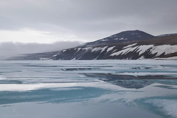 Чаунская губа Чукотка