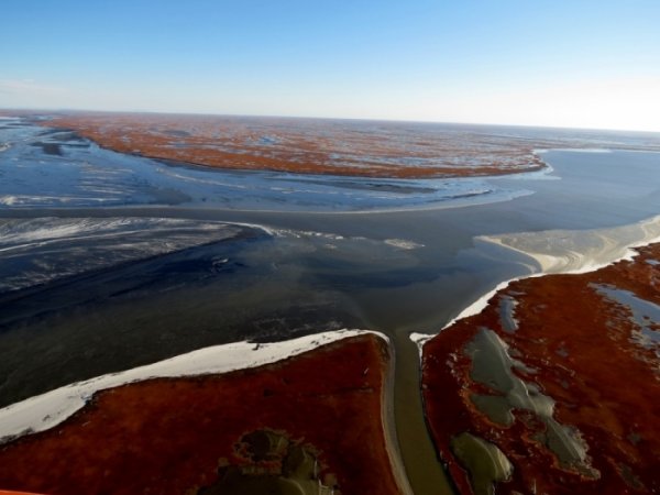 Охотское море льдины