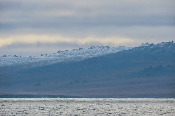 Природа Восточно-Сибирского моря