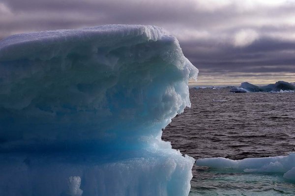 Медвежьи острова Восточно Сибирское море