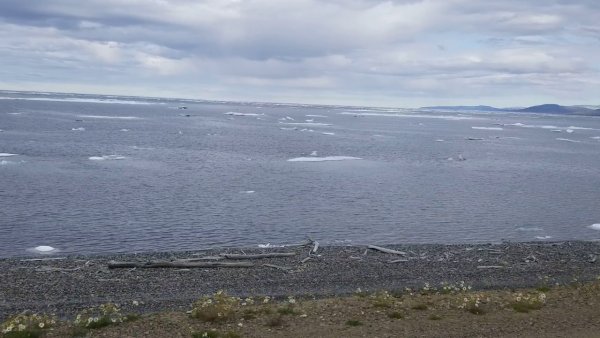 Глубина Восточно Сибирского моря