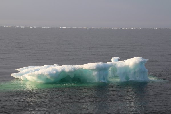 Восточно Сибирское море