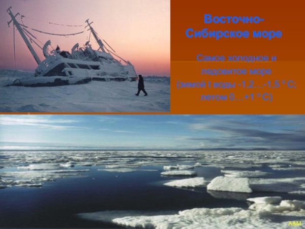 Побережье Арктики