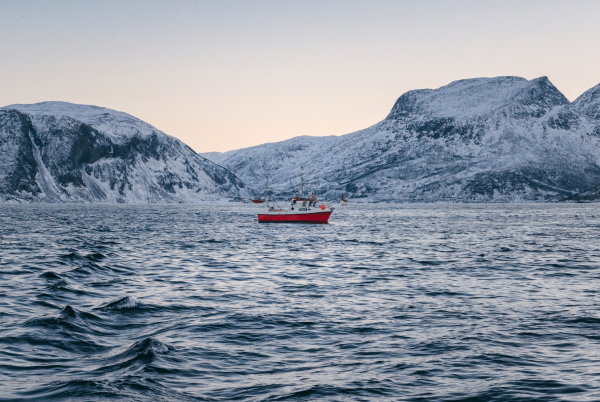 Замерзаемость Восточно Сибирского моря