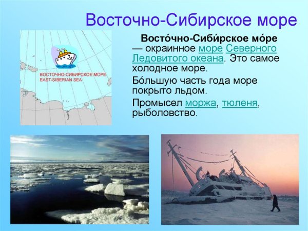 Медвежьи острова заповедник