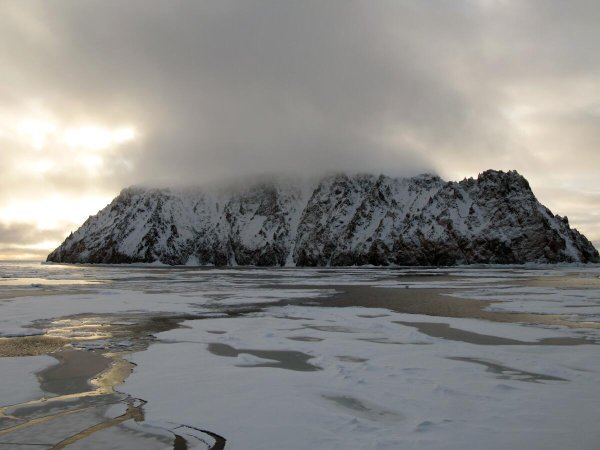 Природа северных морей