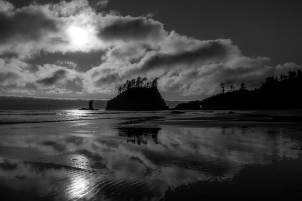 Чёрно-белая фотография